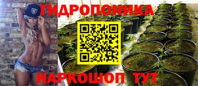 ПСИЛОЦИБИНОВЫЕ ГРИБЫ Дубна