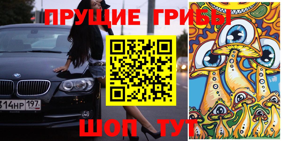 Галлюциногенные грибы Psilocybe  Галлюциногенные грибы мухоморы  Кашира  Вход с VPN 